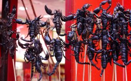 beijing scorpion on a stick still moving