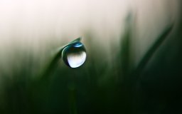 water droplet on blade of grass macro 