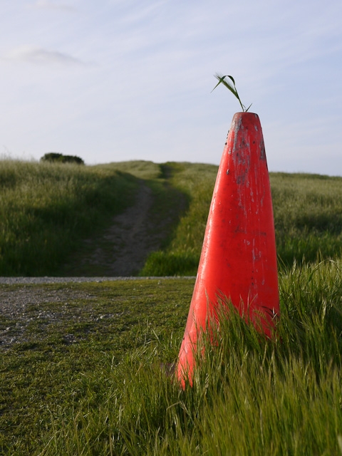 march 2011 hill traffic cone