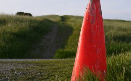 march 2011 hill traffic cone