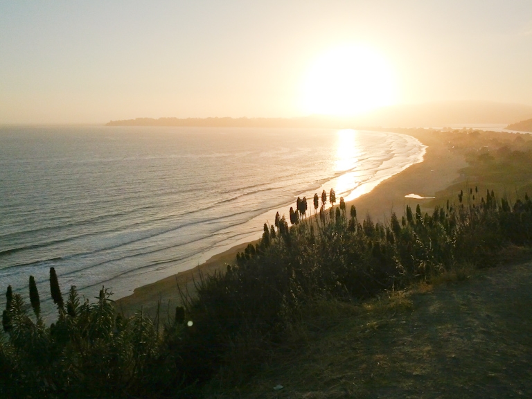 july 4th stinson beach