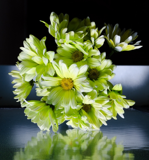 flowers reflection