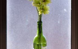flowers framed portrait